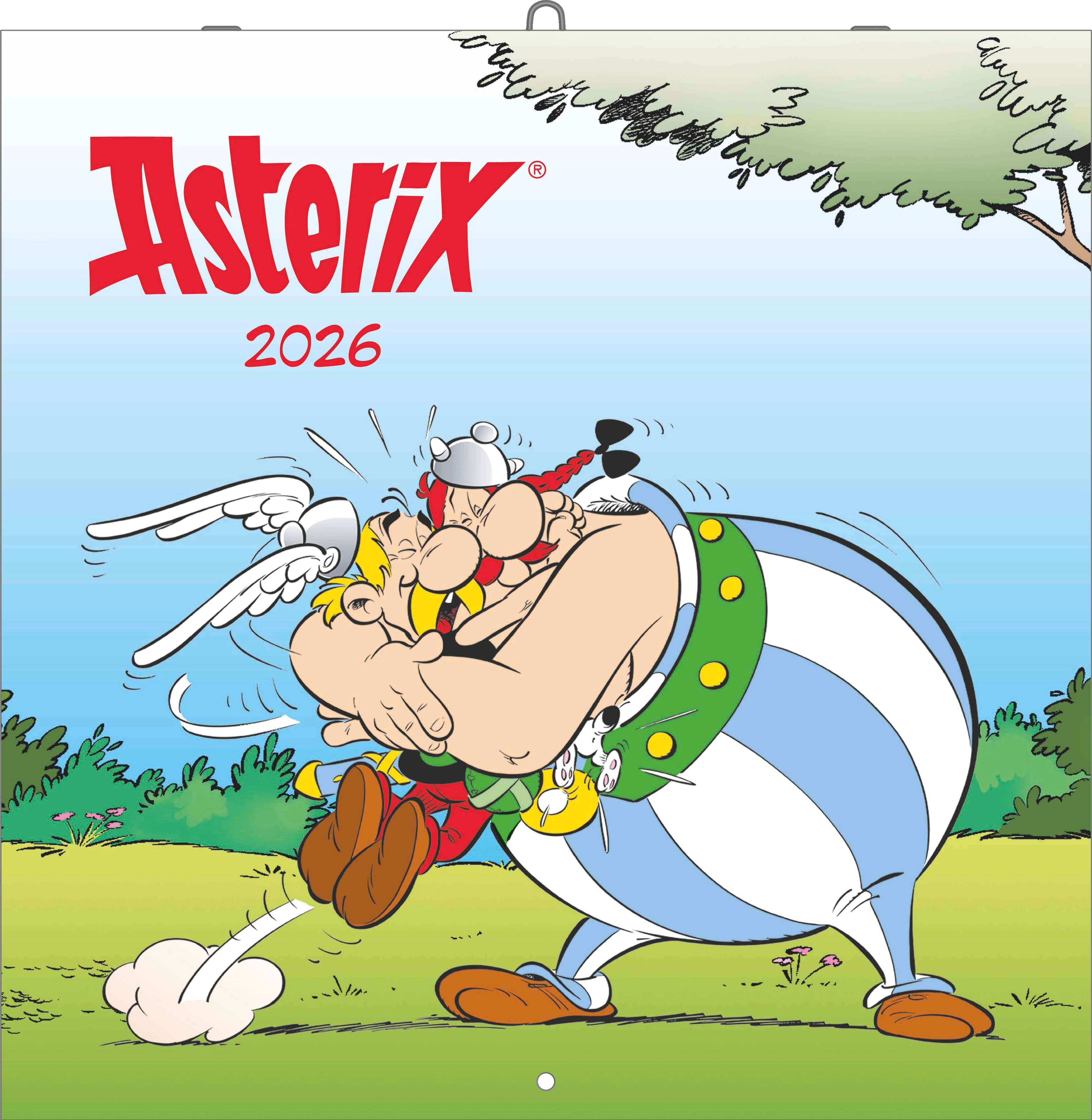 Kalender 2026 30x30 Asterix