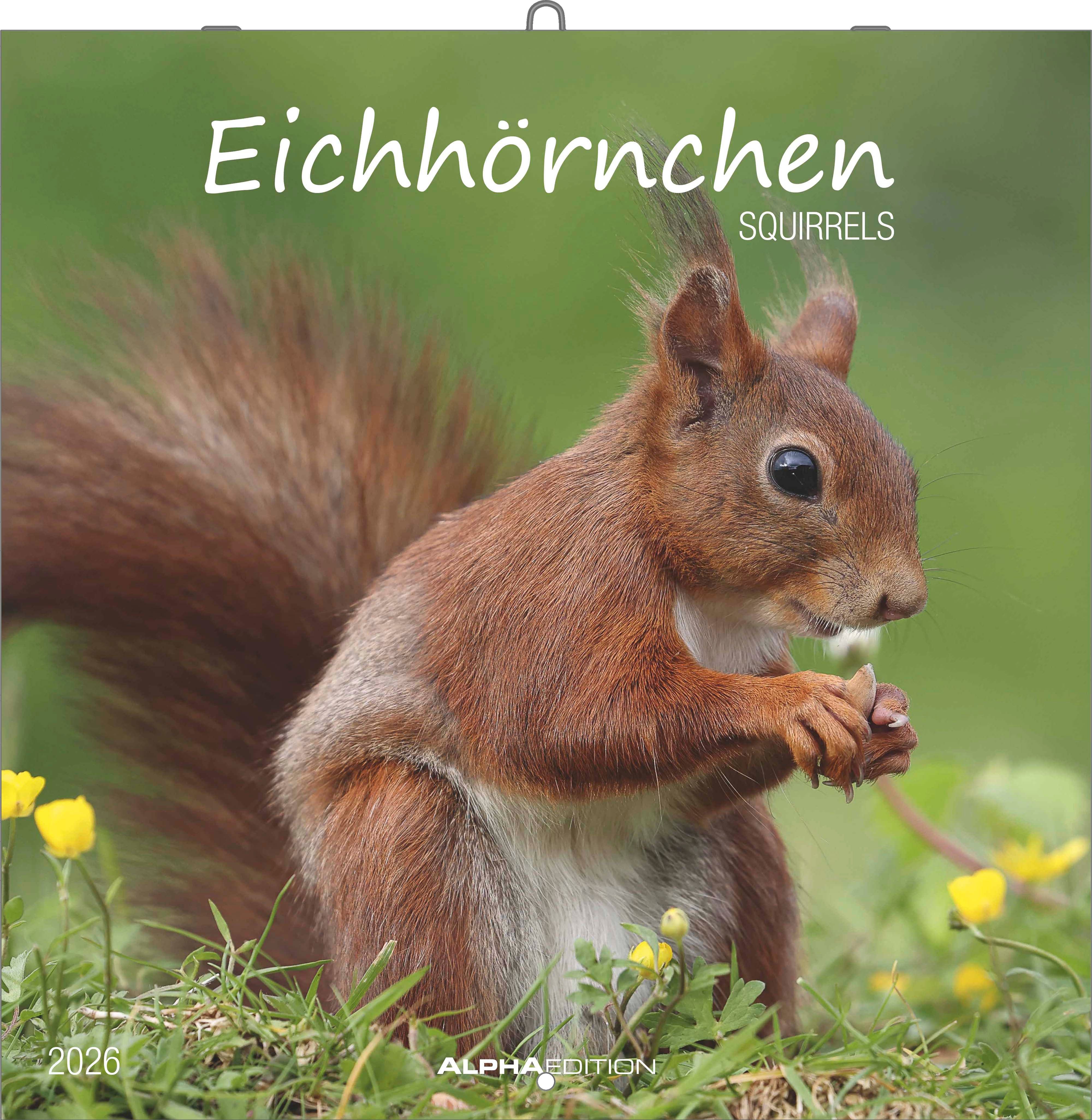 Kalender 2026 30x30 Squirrels