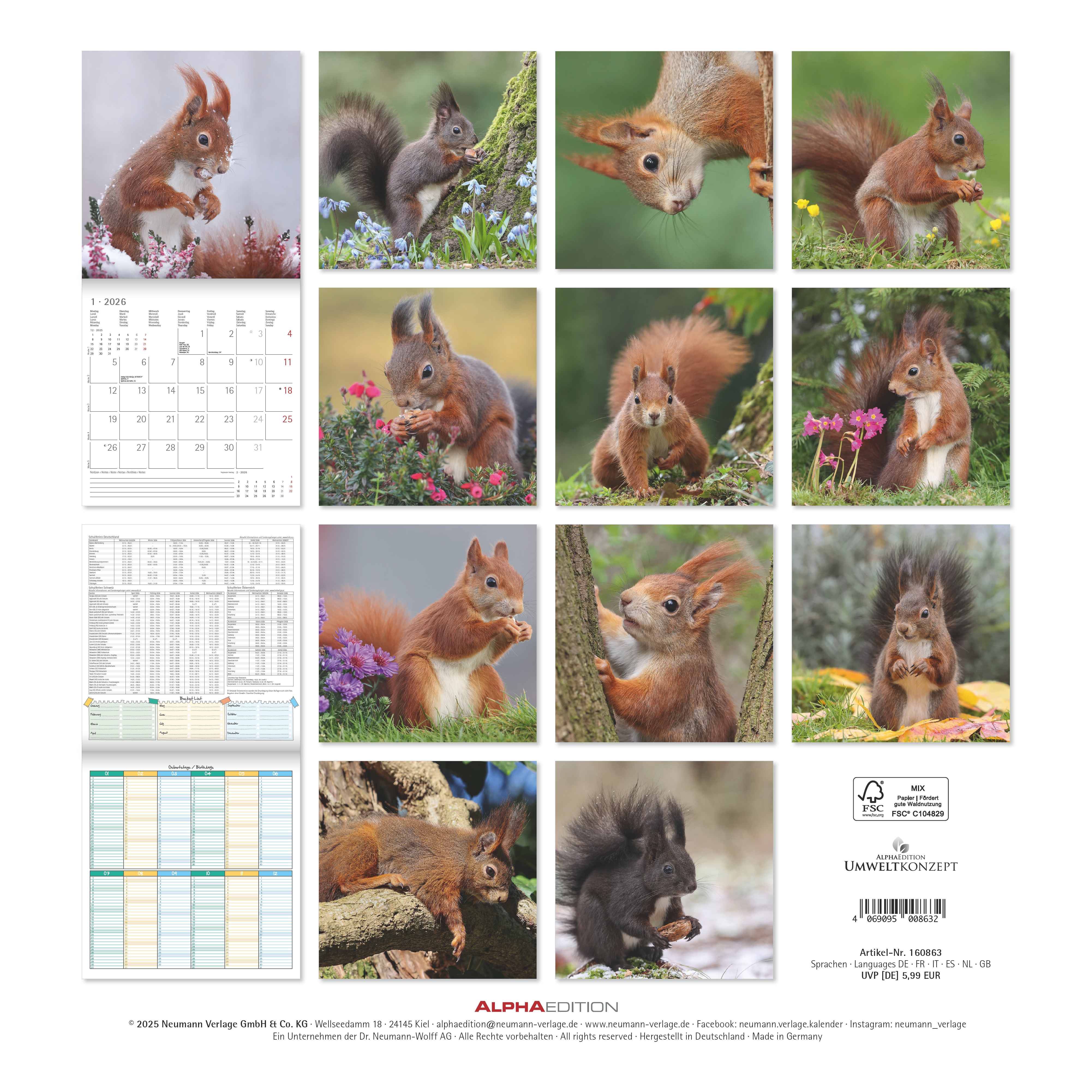 Kalender 2026 30x30 Squirrels