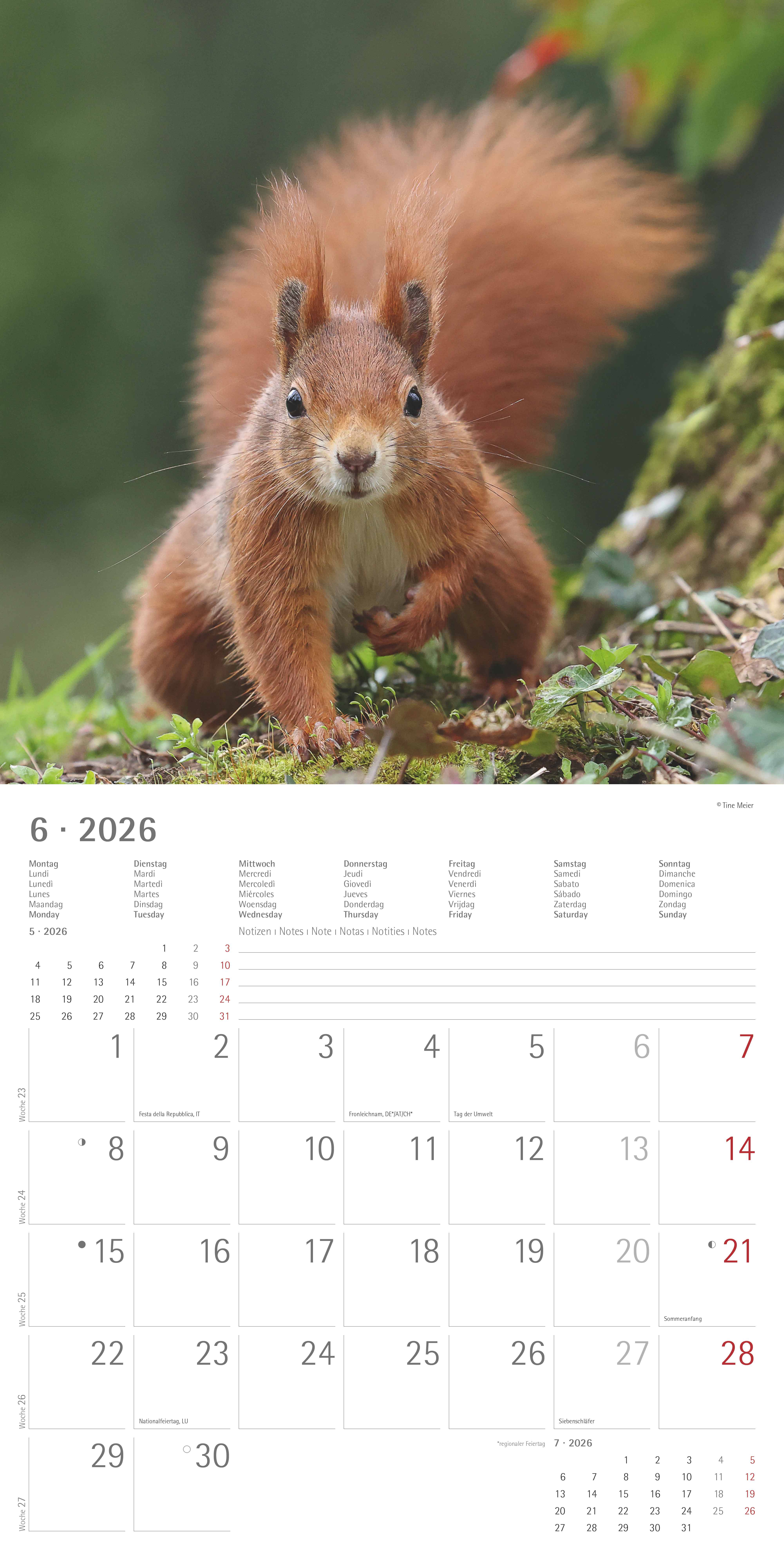 Kalender 2026 30x30 Squirrels