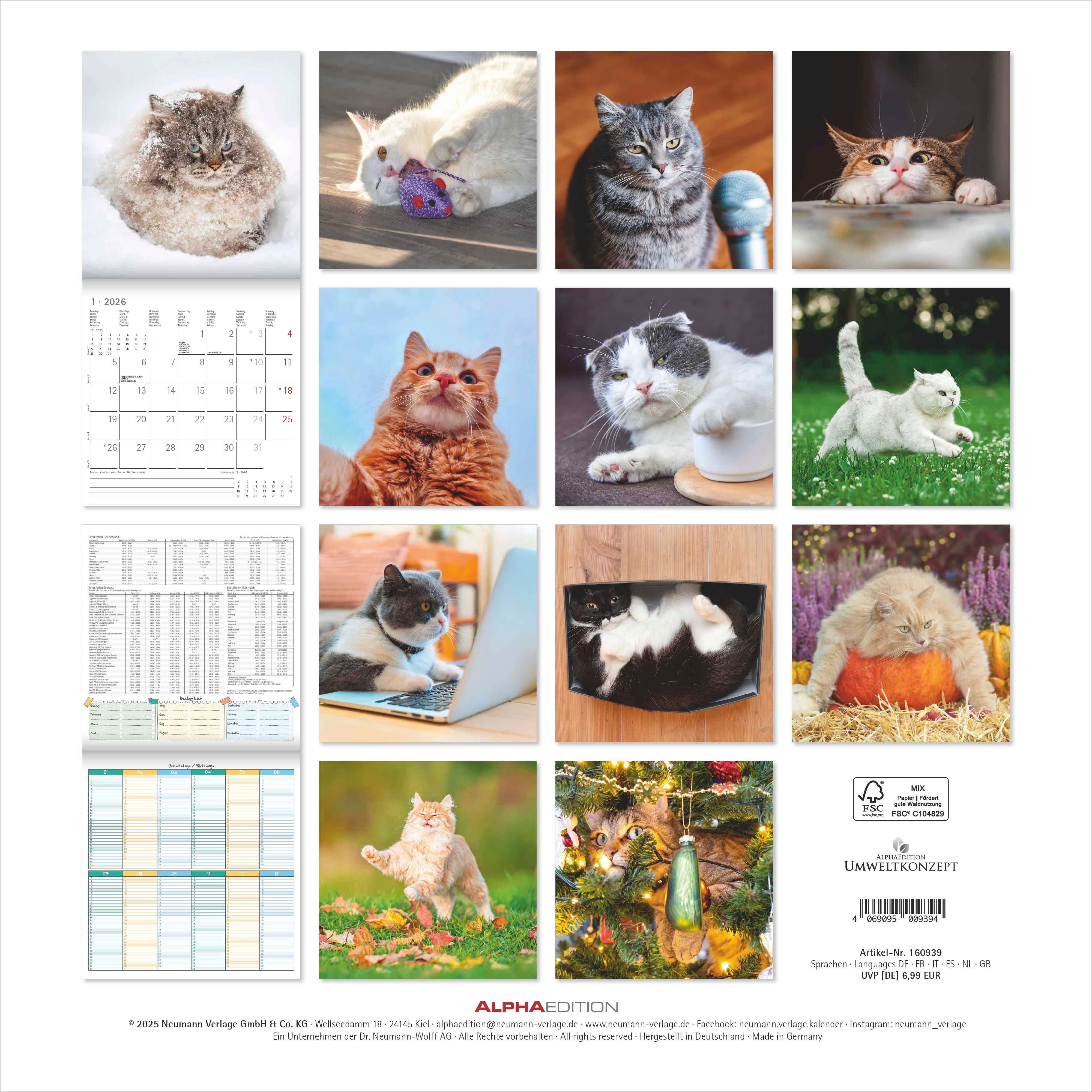 Kalender 2026 30x30 Funny Cats