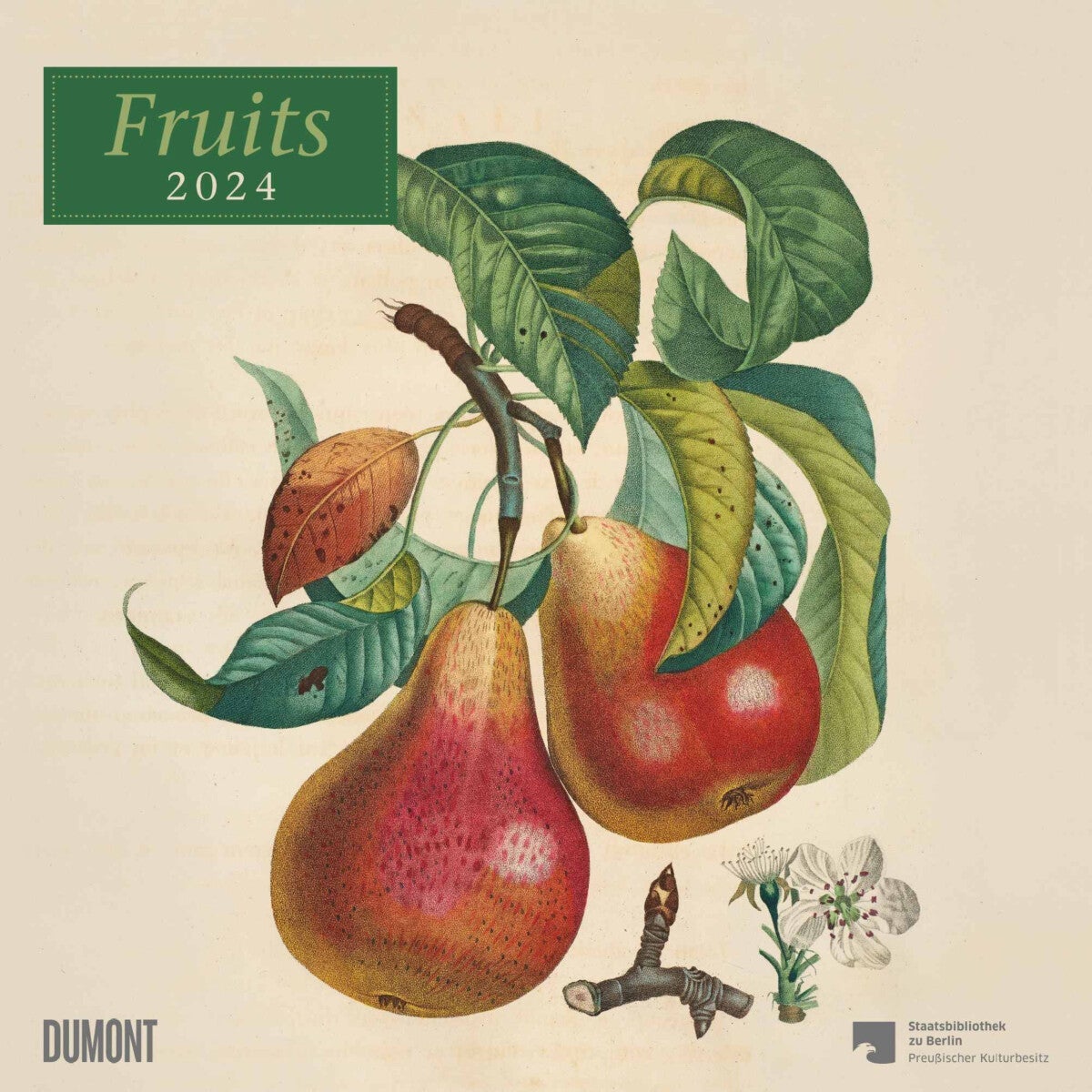 Kalender 2024 Fruits 30x30cm