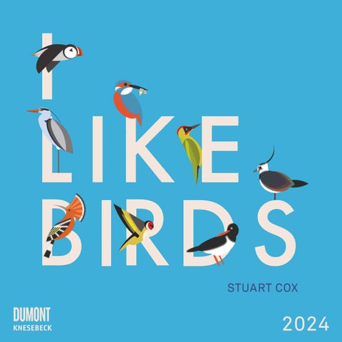 Kalender 2024 I Like Birds 30x30cm