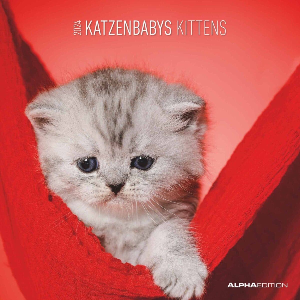 Kalender 2024 Kittens 30x30cm