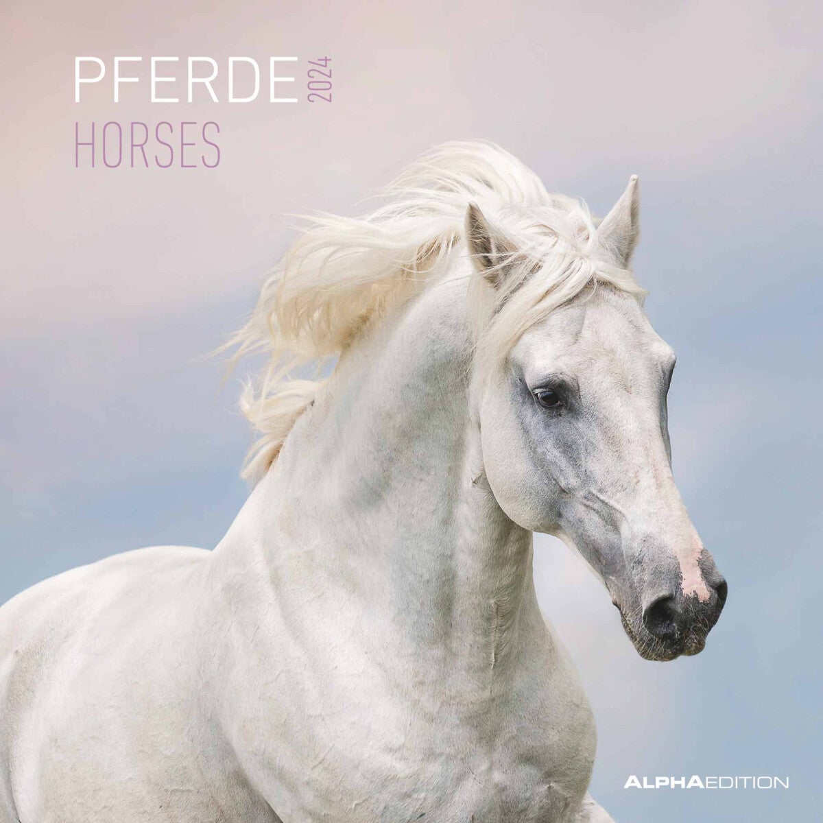 Kalender 2024 Horses 30x30cm