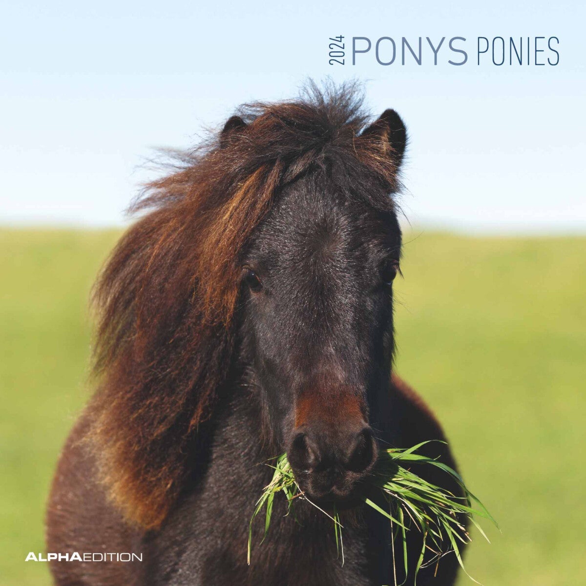 Kalender 2024 Ponies 30x30cm