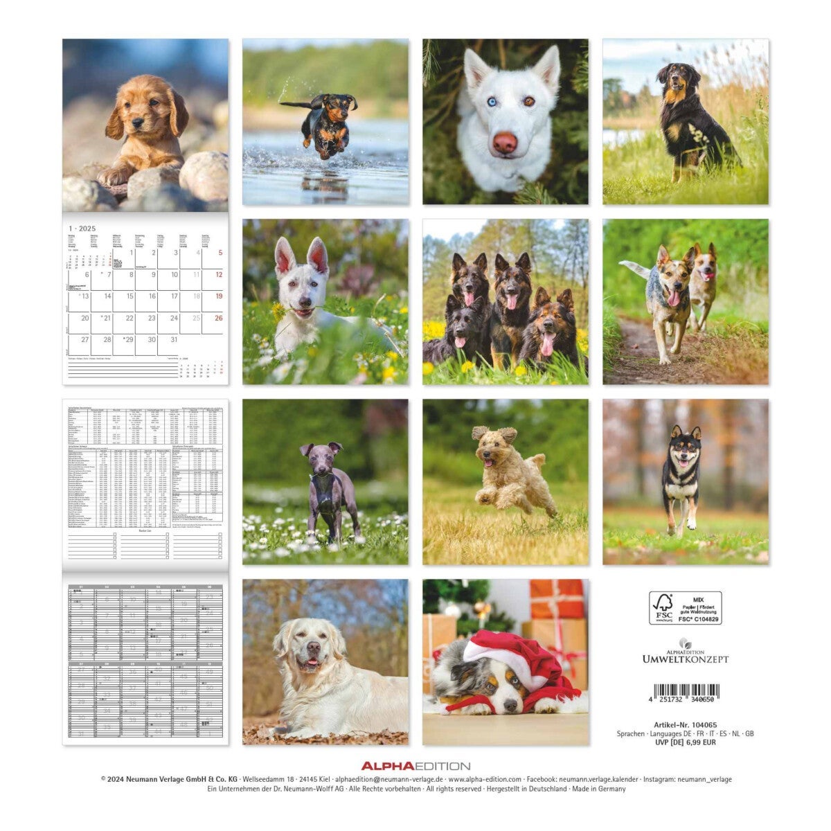 Kalender 2025 Dogs 30x30cm
