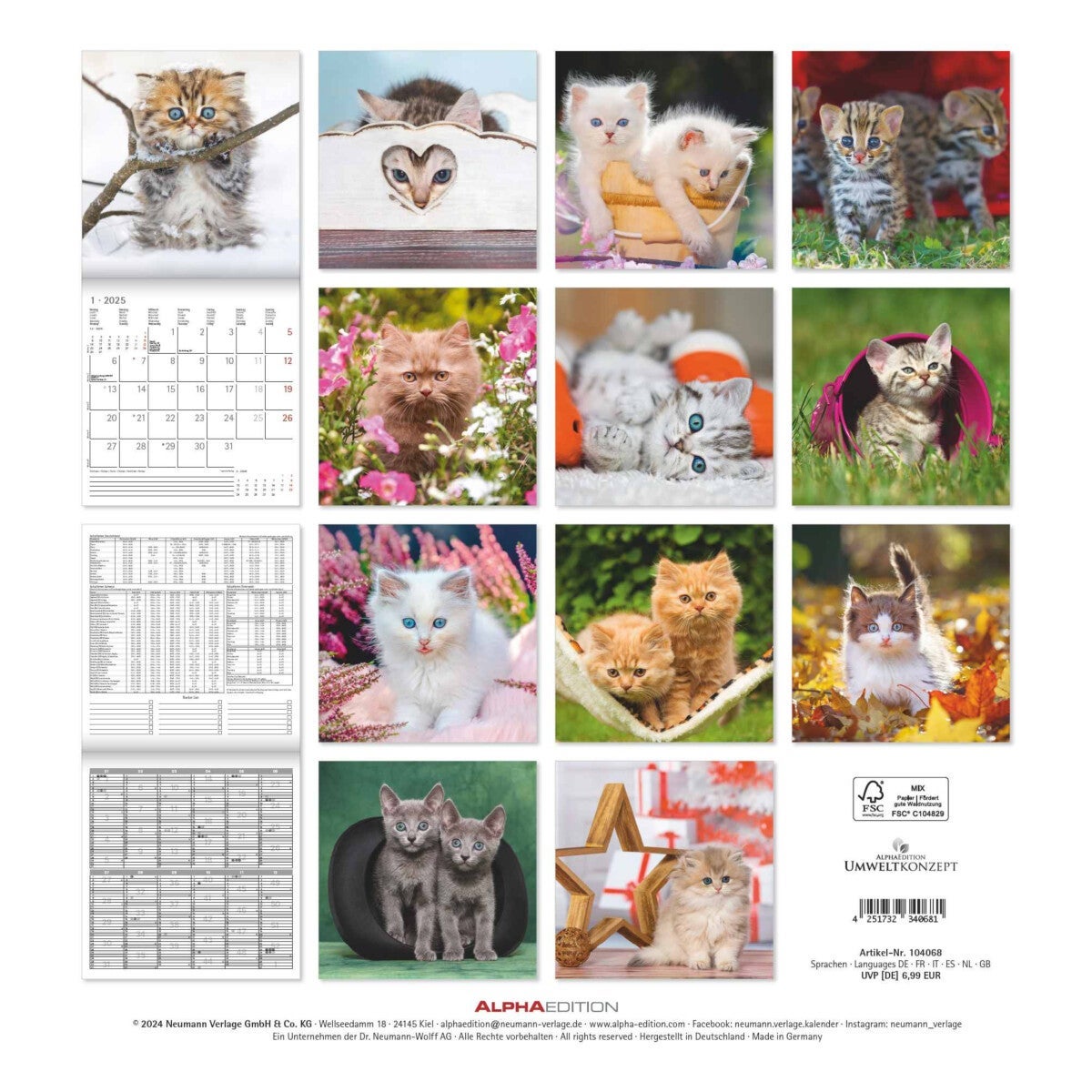 Kalender 2025 Kittens 30x30cm
