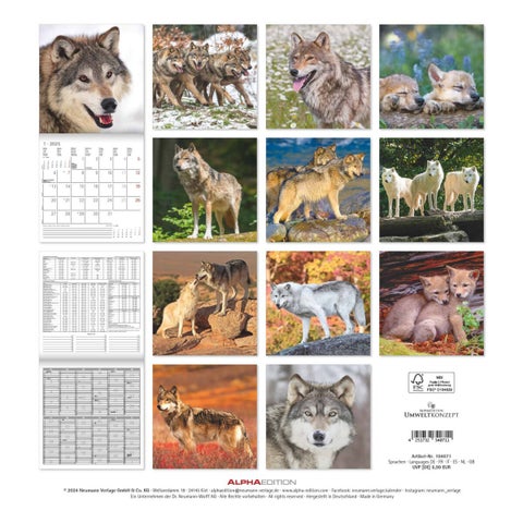 Kalender 2025 Wolves 30x30cm