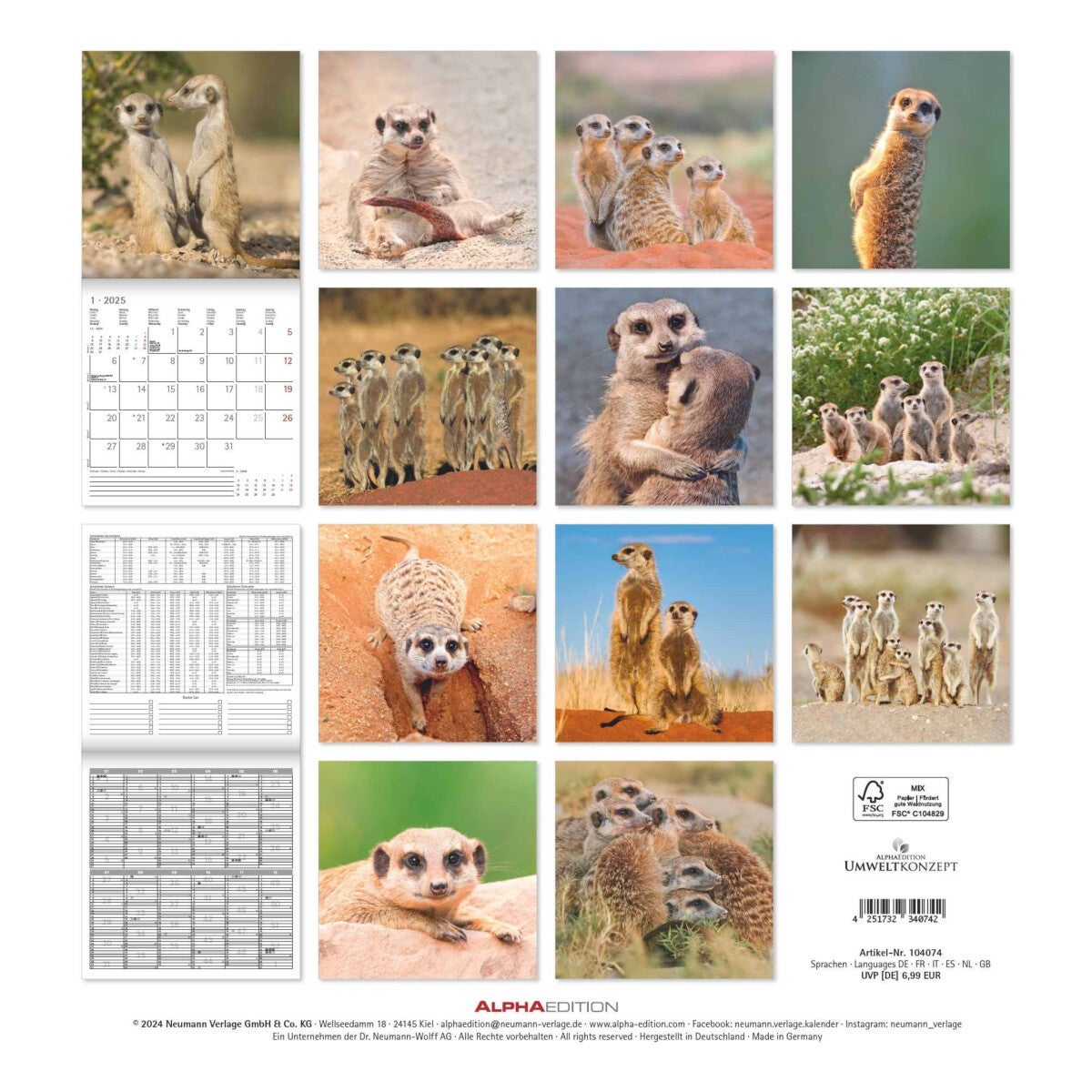 Kalender 2025 Suricates 30x30cm