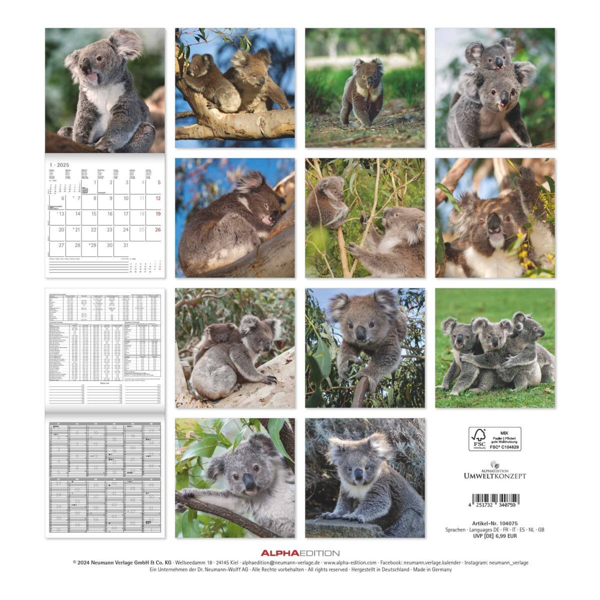 Kalender 2025 Koalas 30x30cm