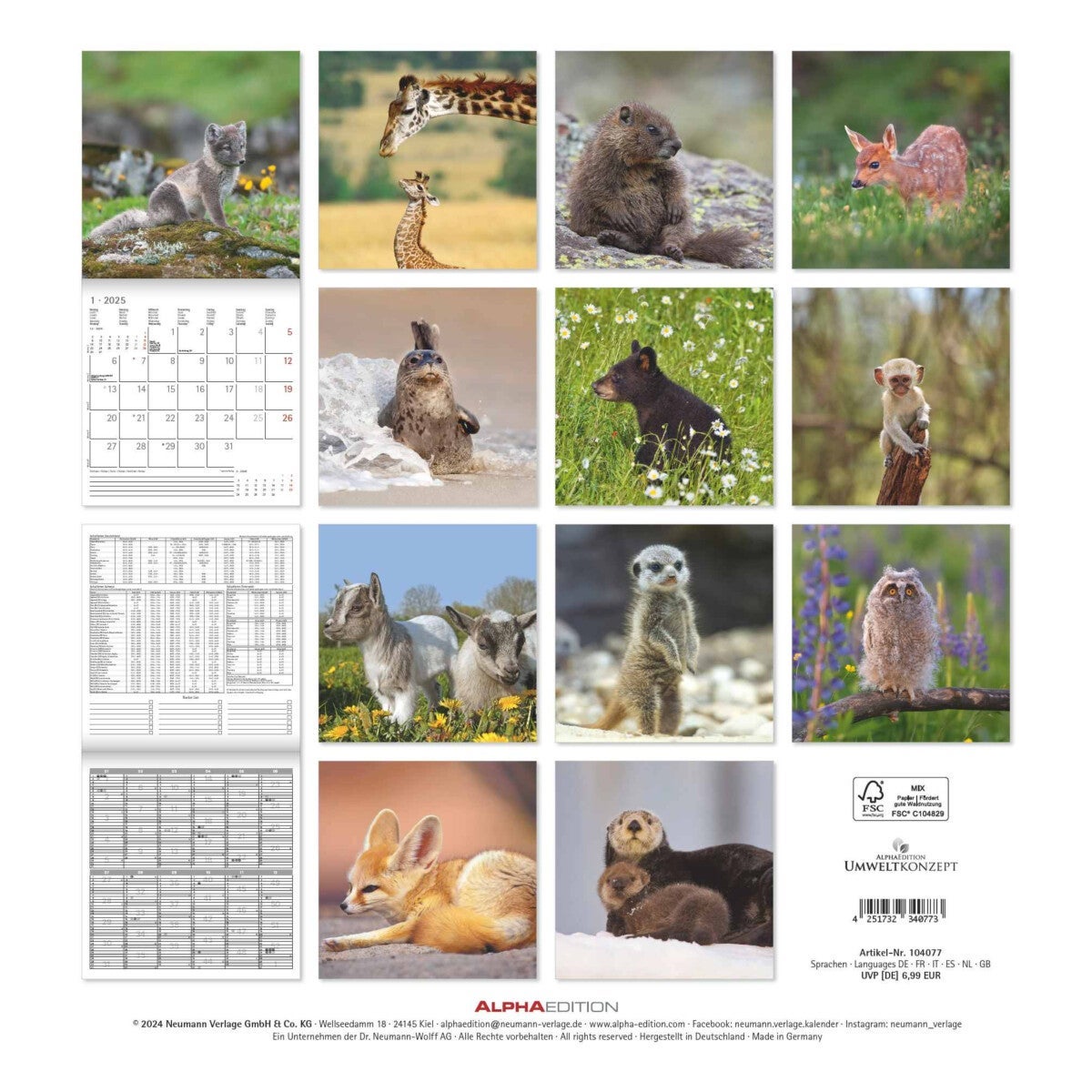 Kalender 2025 Baby Animals 30x30cm