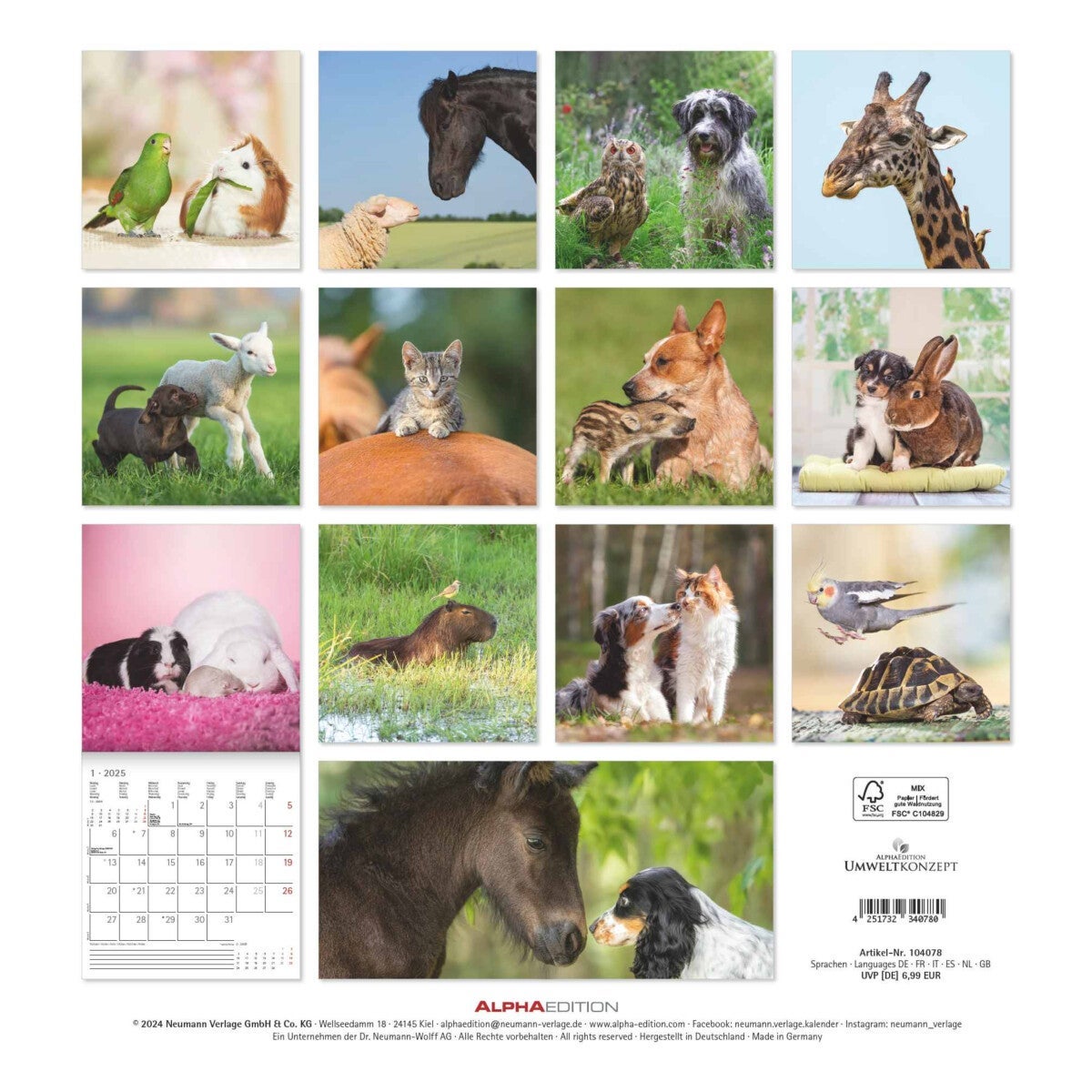 Kalender 2025 Animal Friendships 30x30cm
