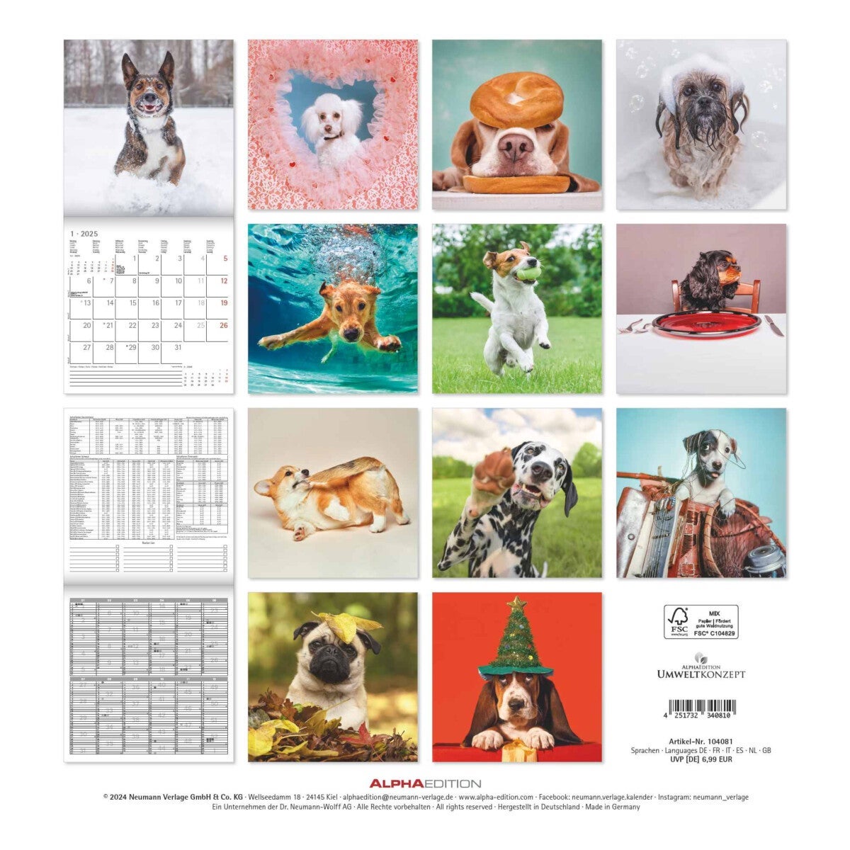 Kalender 2025 Funny Dogs 30x30cm