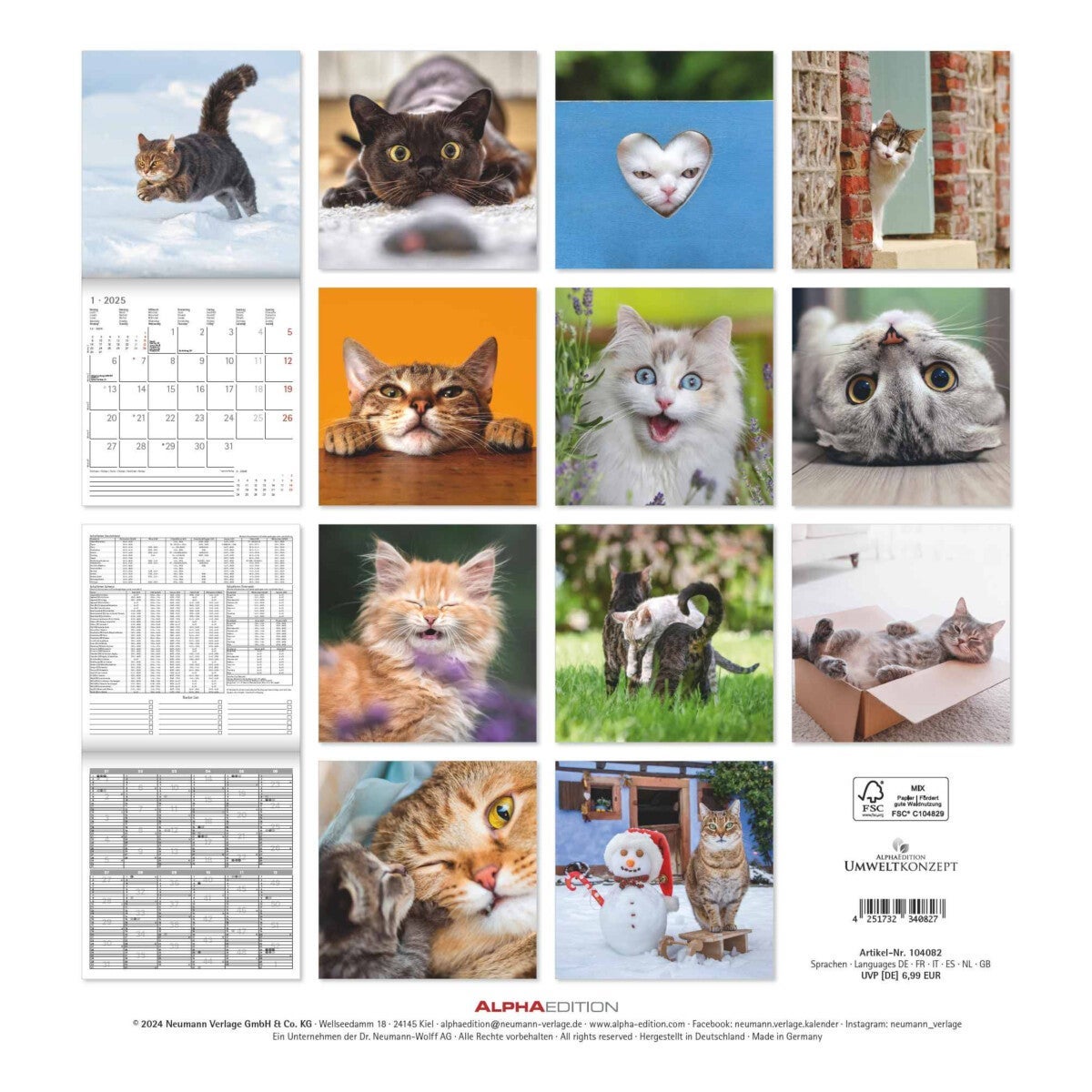 Kalender 2025 Funny Cats 30x30cm