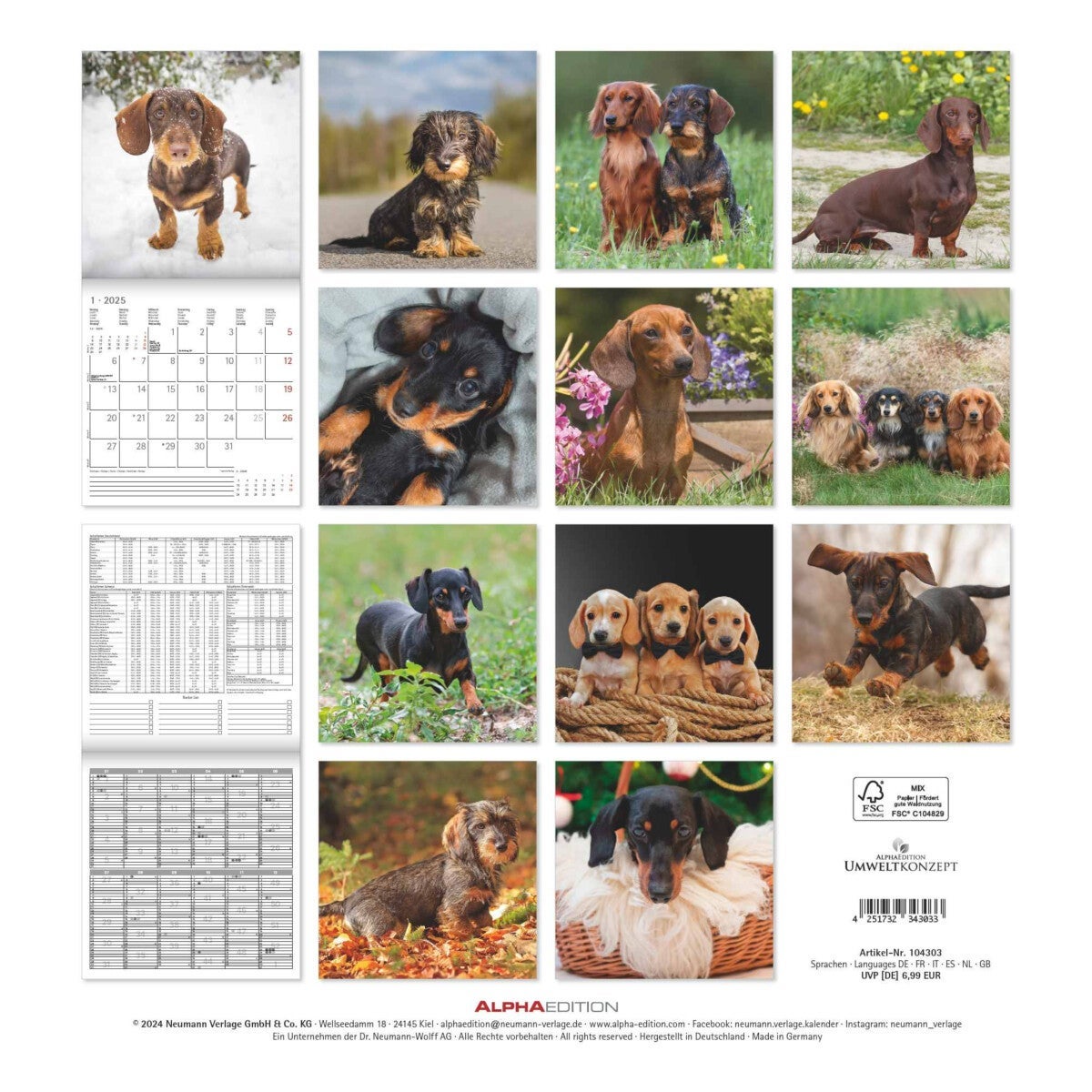 Kalender 2025 Dachshund 30x30cm