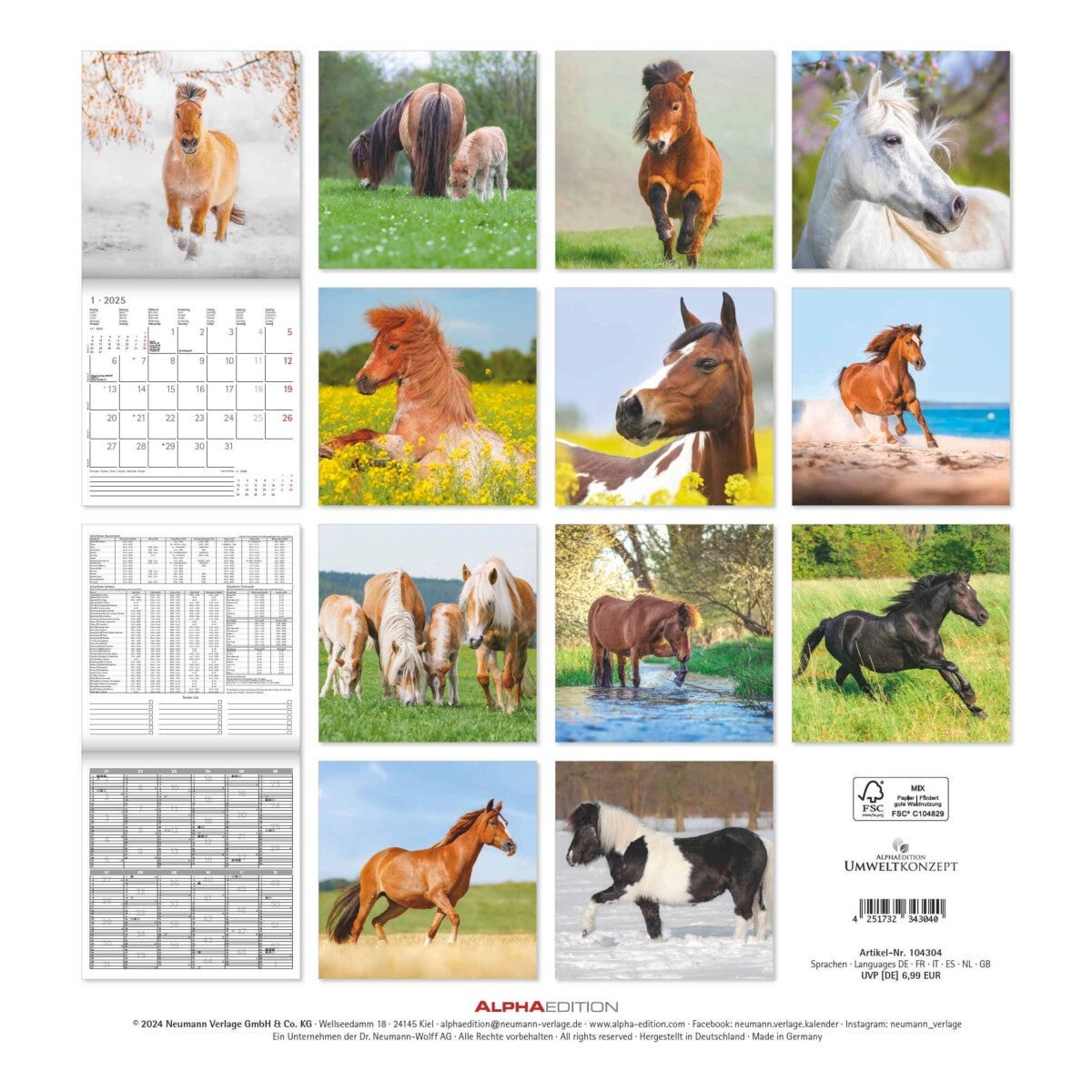 Kalender 2025 Ponies 30x30cm