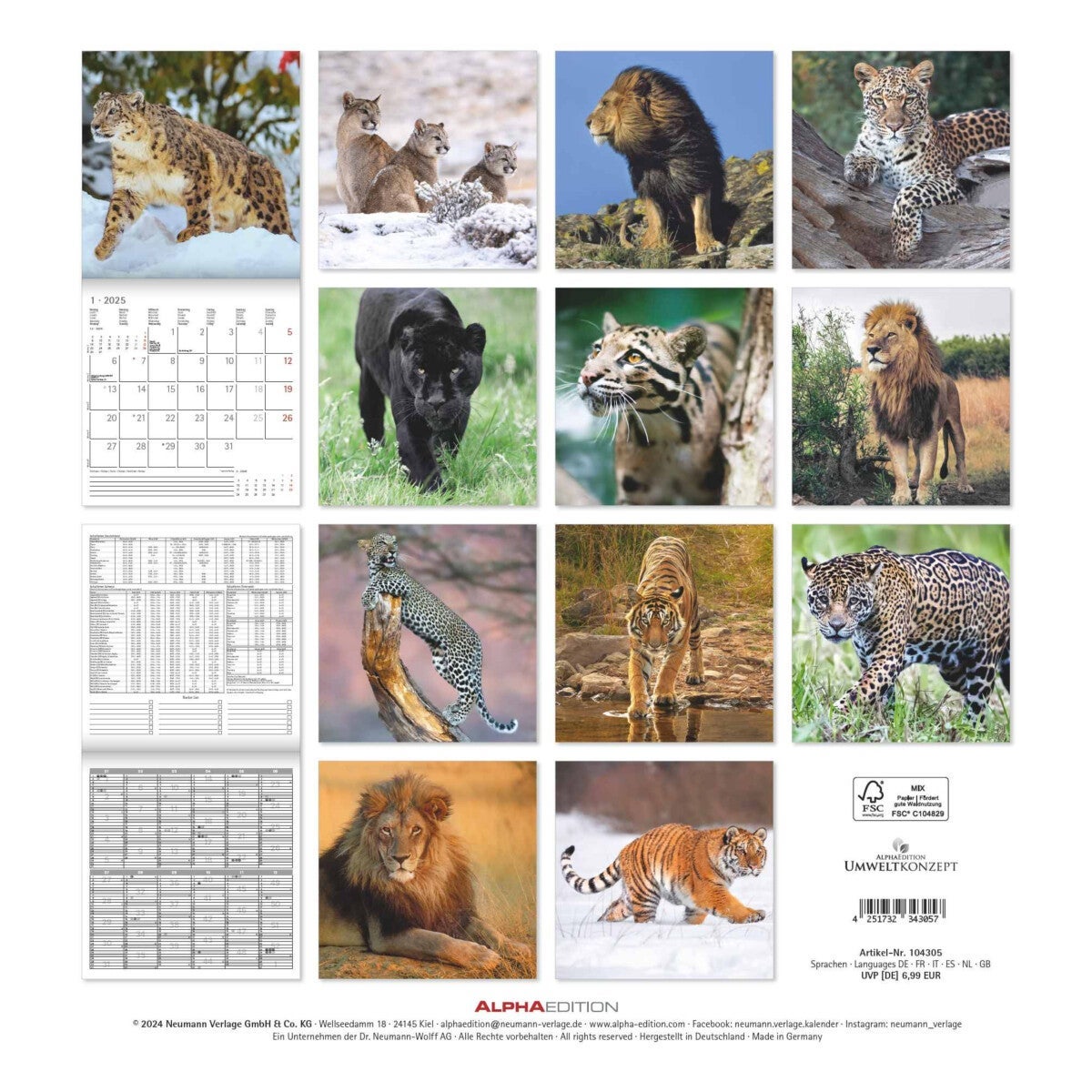 Kalender 2025 Big Cats 30x30cm