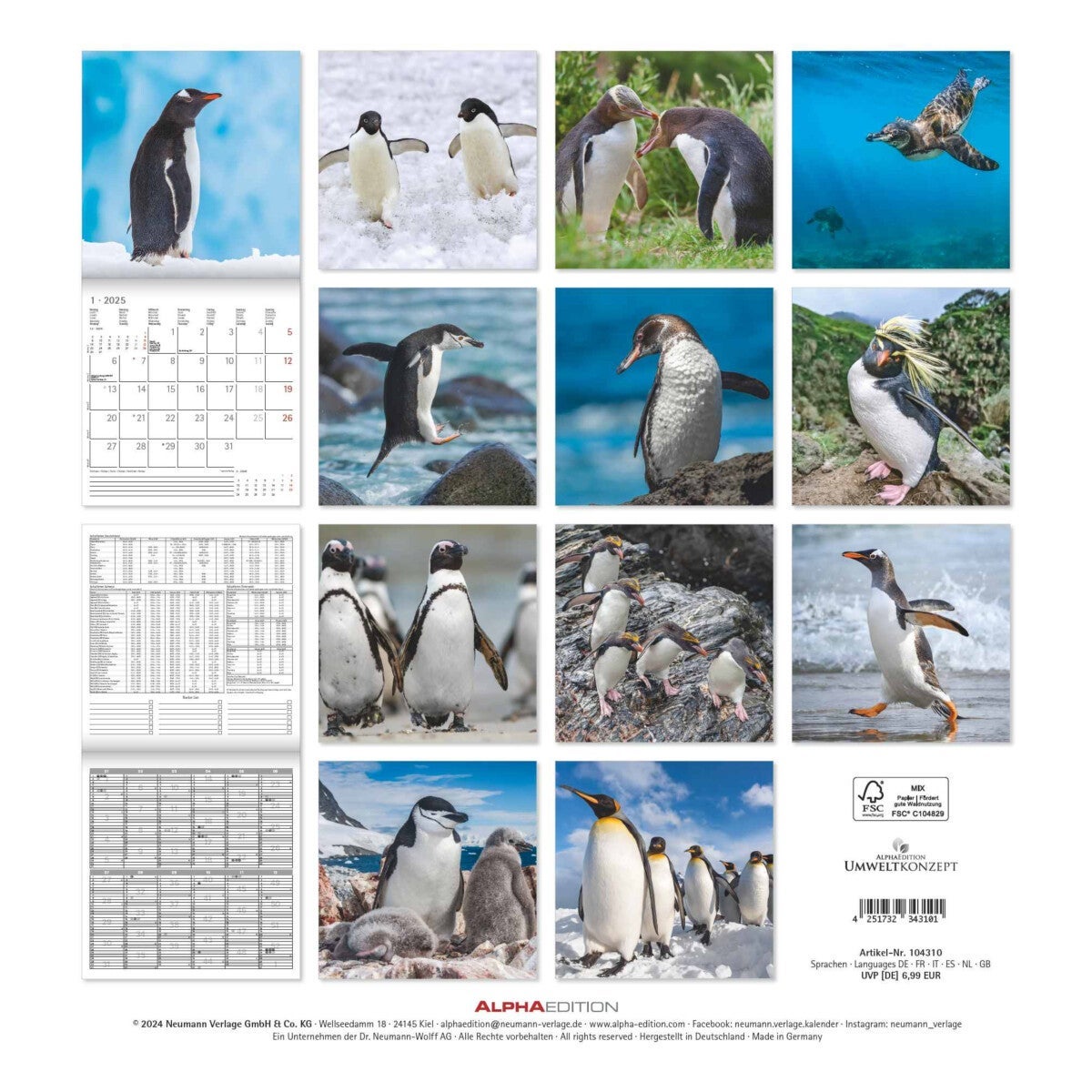 Kalender 2025 Penguins 30x30cm