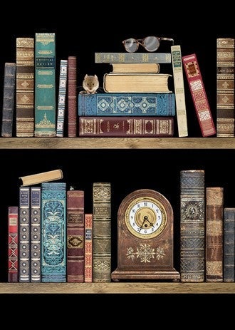 Doble kort 167x118 Jewels  Bookshelves