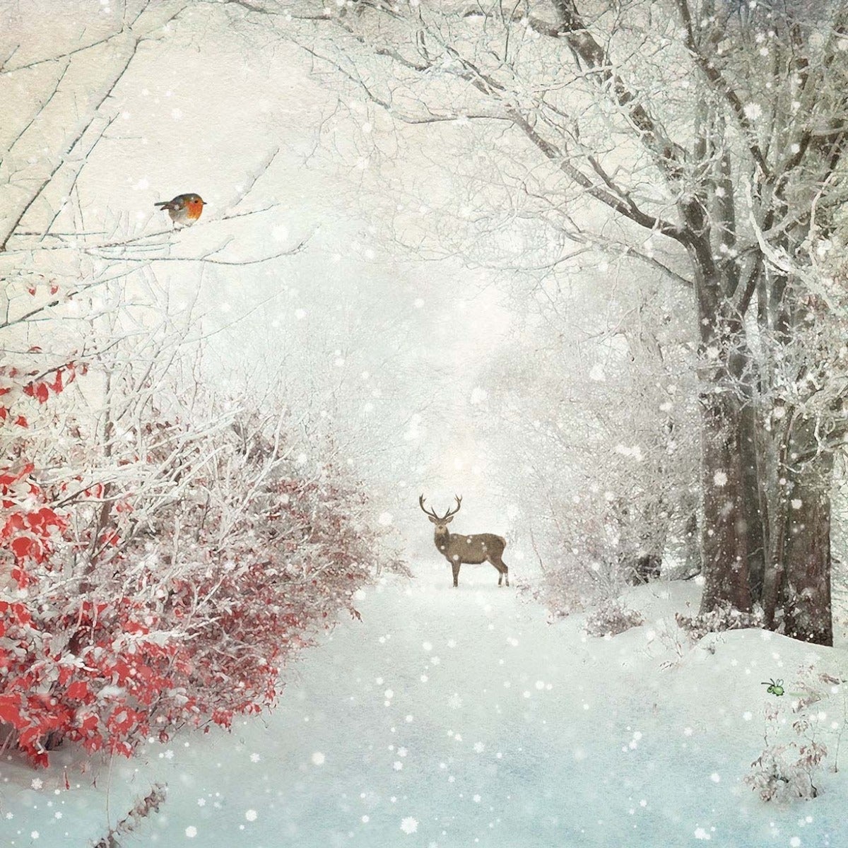 Doble kort 152x152 "Winter landscapes" Robin & Dee