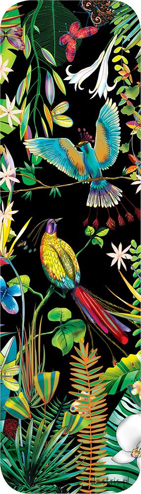 Bokmerke 6x21 Ilustris to fugler i jungel