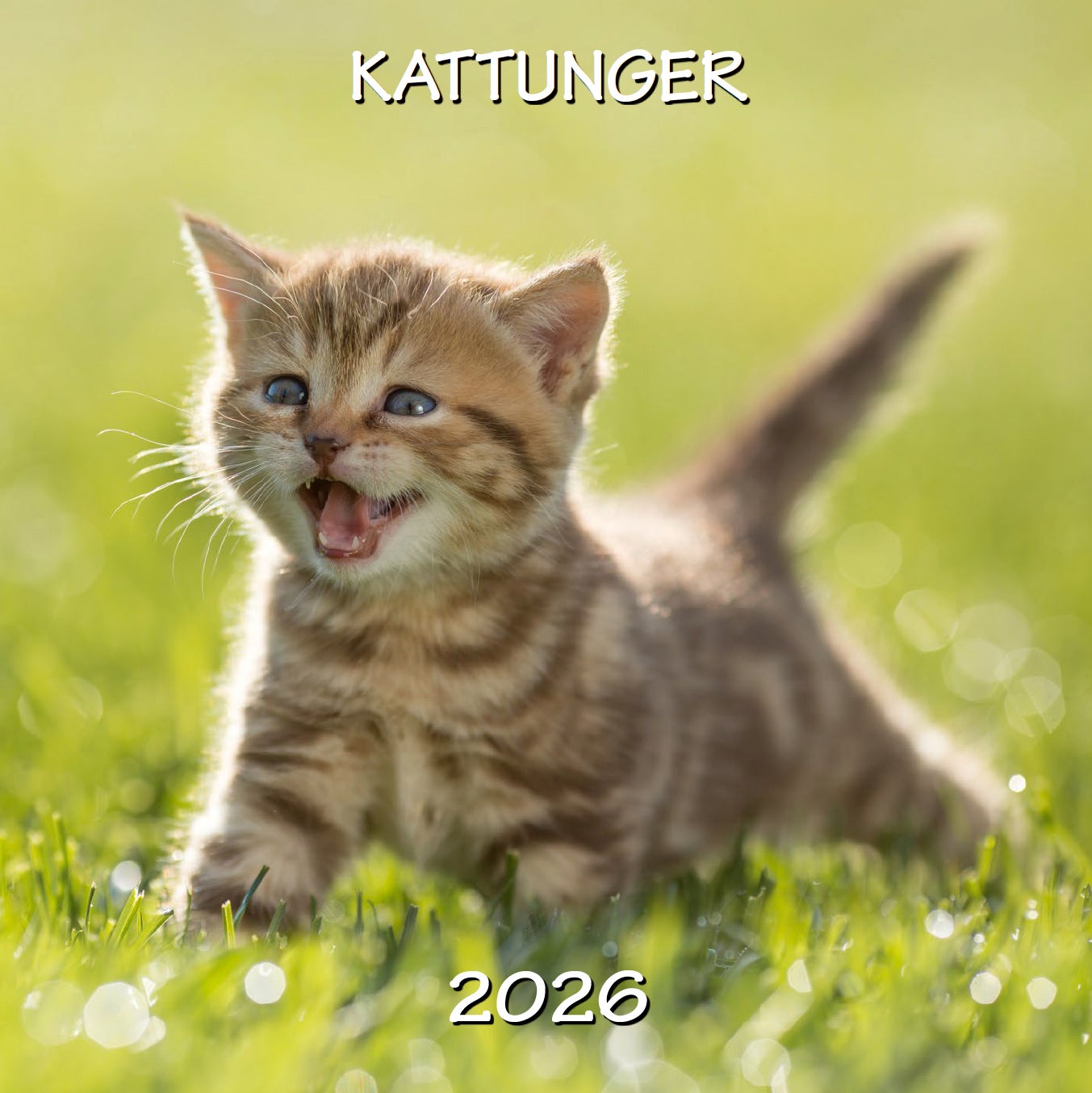 Kalender 2026 Kattunger 18X18Cm