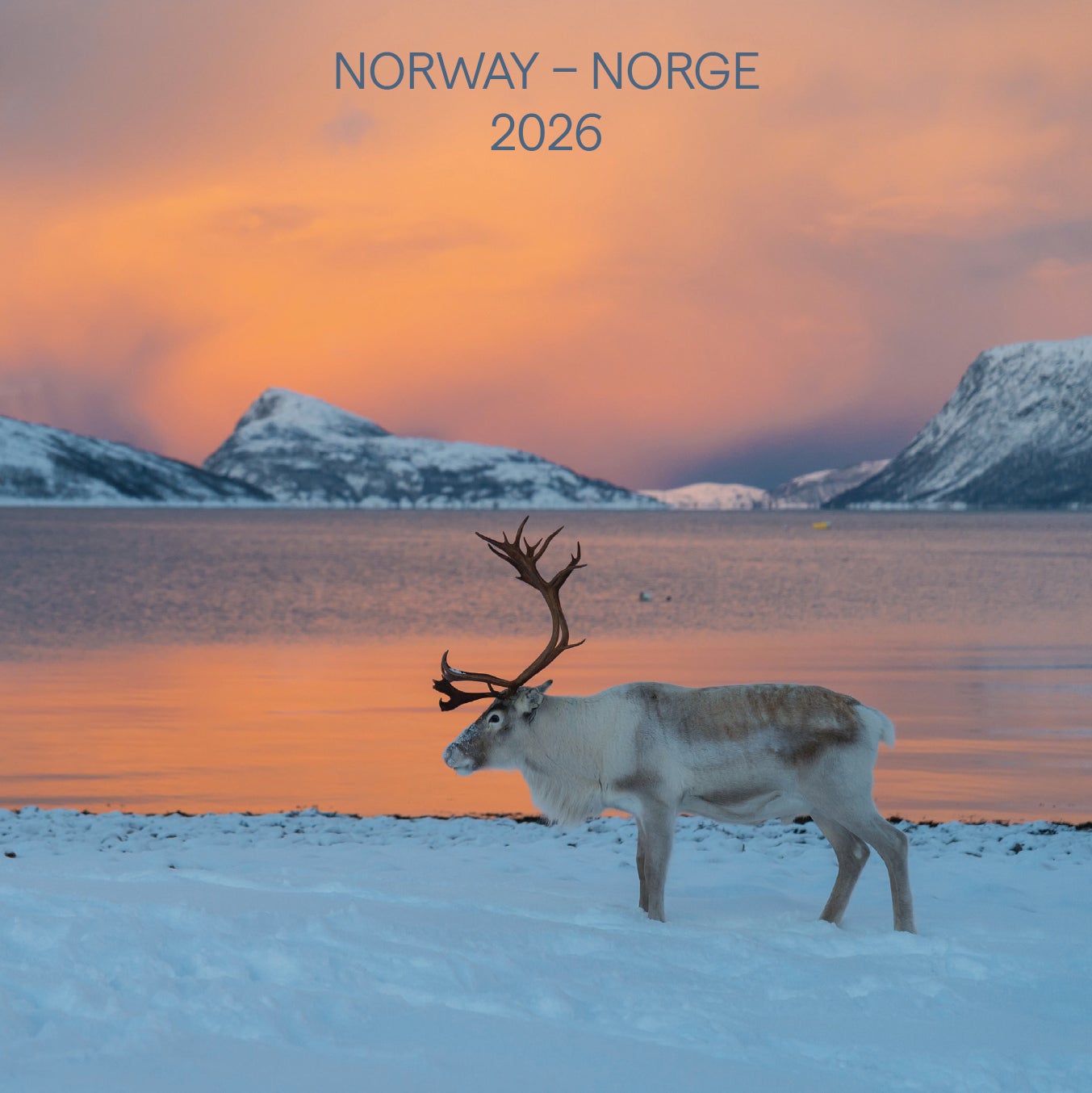 Kalender 2026 Norge 18X18Cm