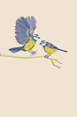 Kort Icones Kjøttmeiser