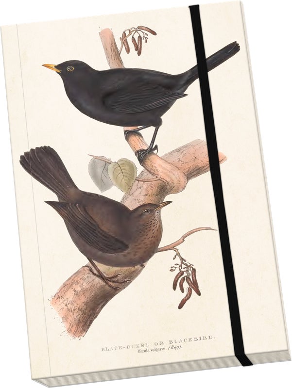 Notatbok Sköna Ting A5 Svarttrost