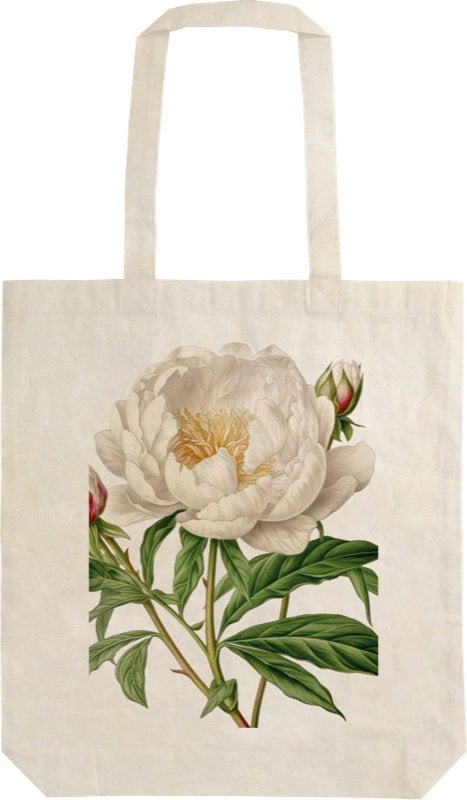 Handlenett Sköna Ting Peonies & roses peony