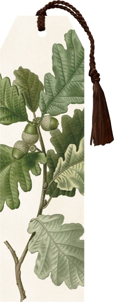 Bokmerke Sköna Ting Eikenøtter