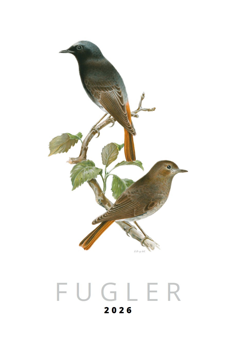 Kalender 2026 Fågler 23X34Cm