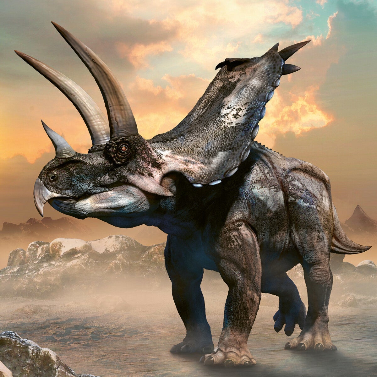 Kalender 2024 Dinosaurs 30x30cm