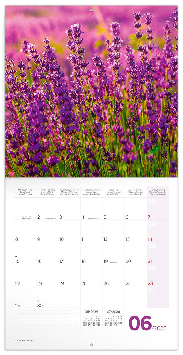 Kalender 2026 30x30 Provence