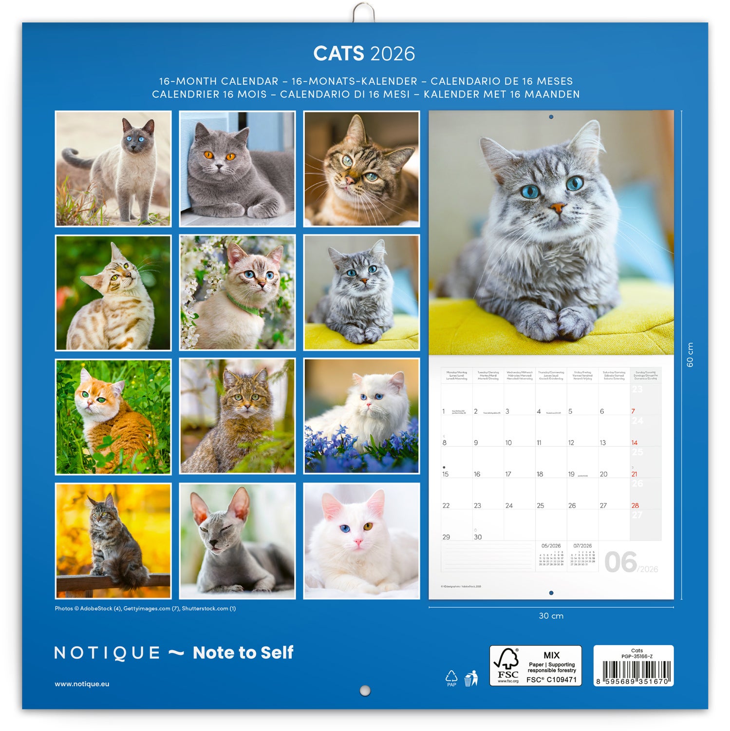 Kalender 2026 Cats 30X30Cm