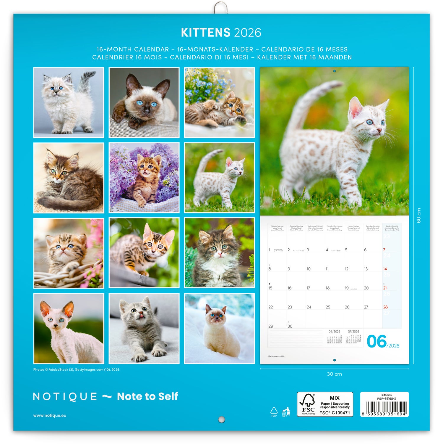 Kalender 2026 30x30 Kittens