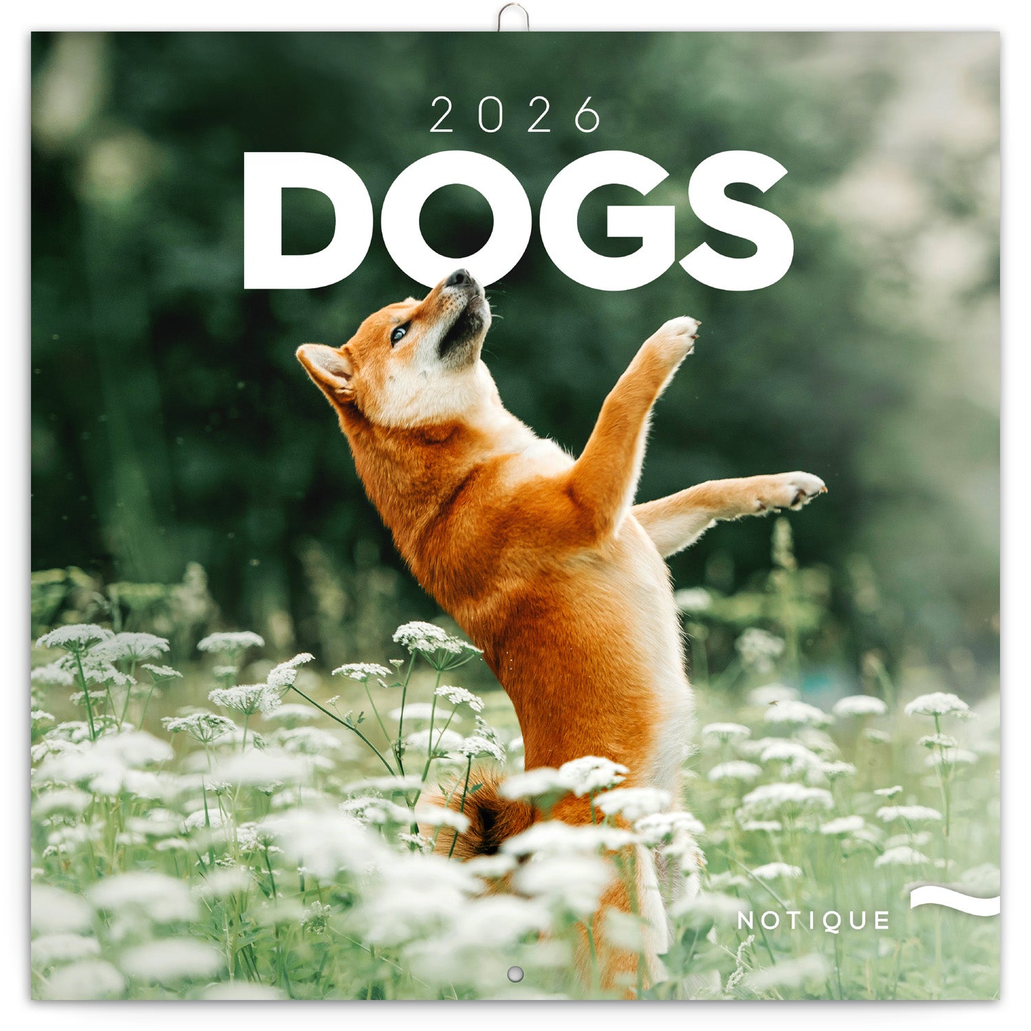 Kalender 2026 Dogs 30X30Cm