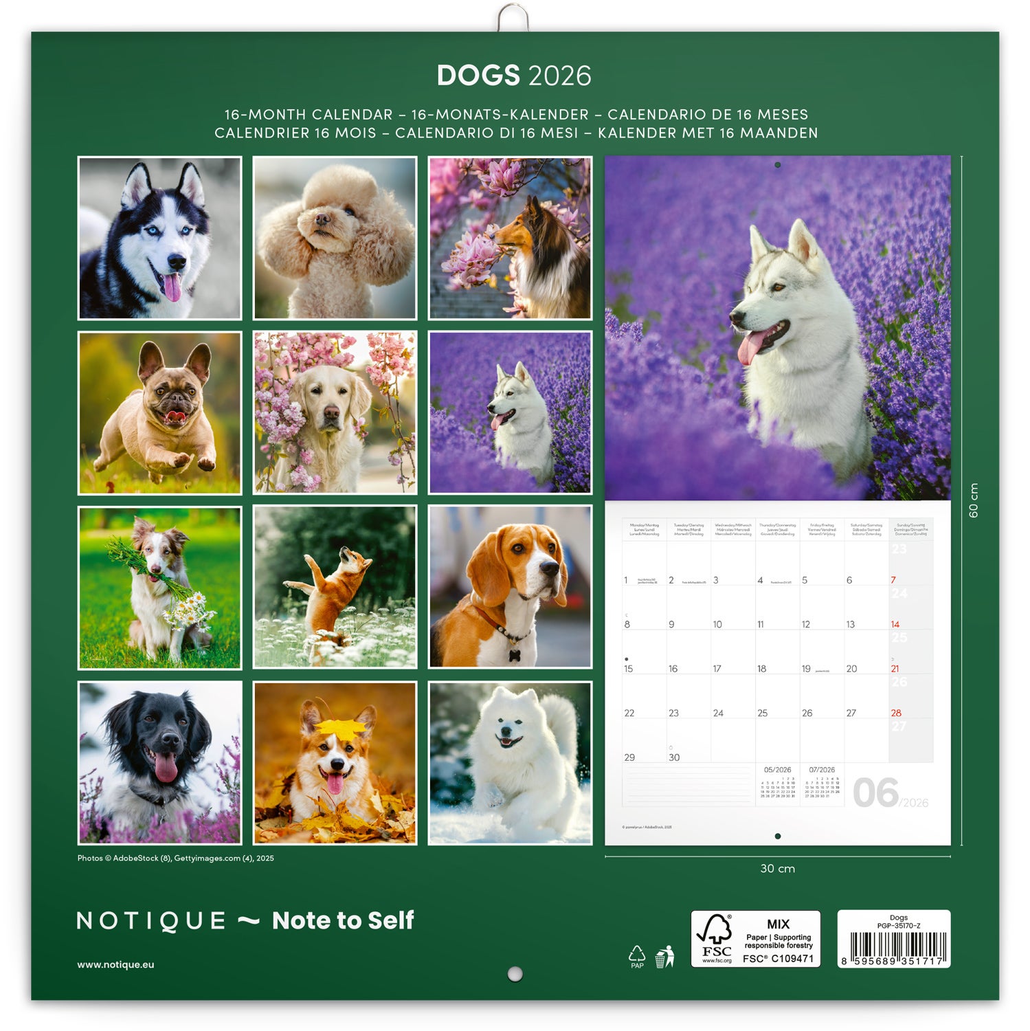 Kalender 2026 Dogs 30X30Cm