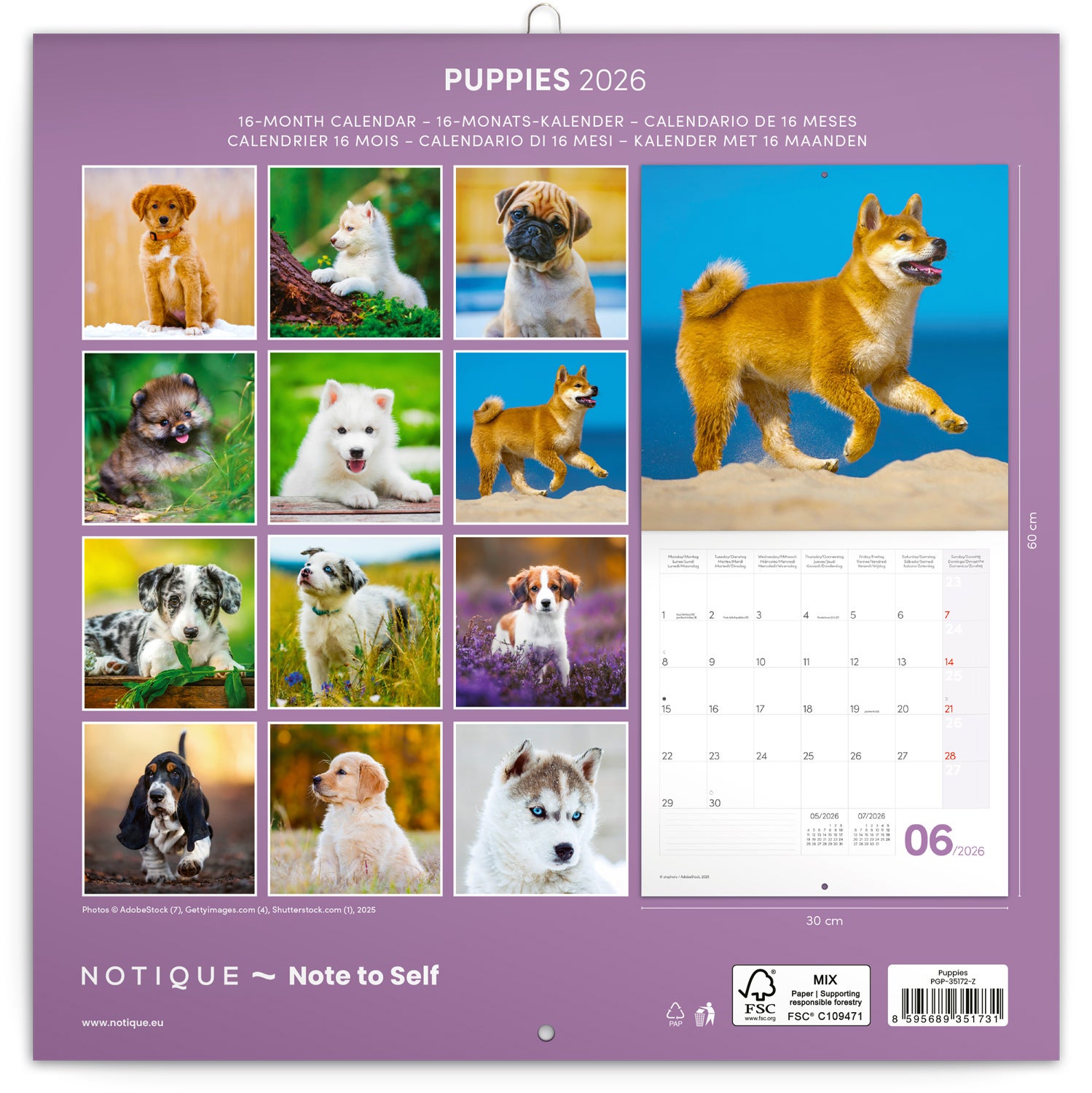 Kalender 2026 30x30 Puppies