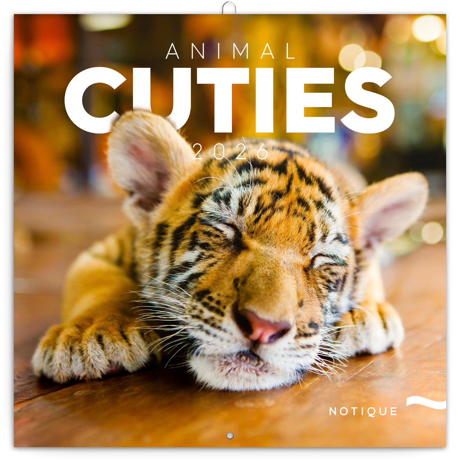 Kalender 2026 30x30 Animal Cuties