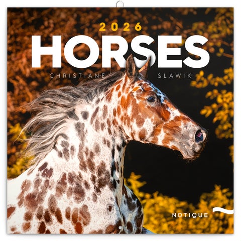 Kalender 2026 30x30 Horses