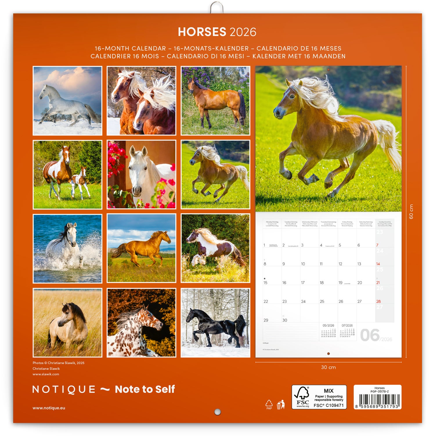 Kalender 2026 30x30 Horses