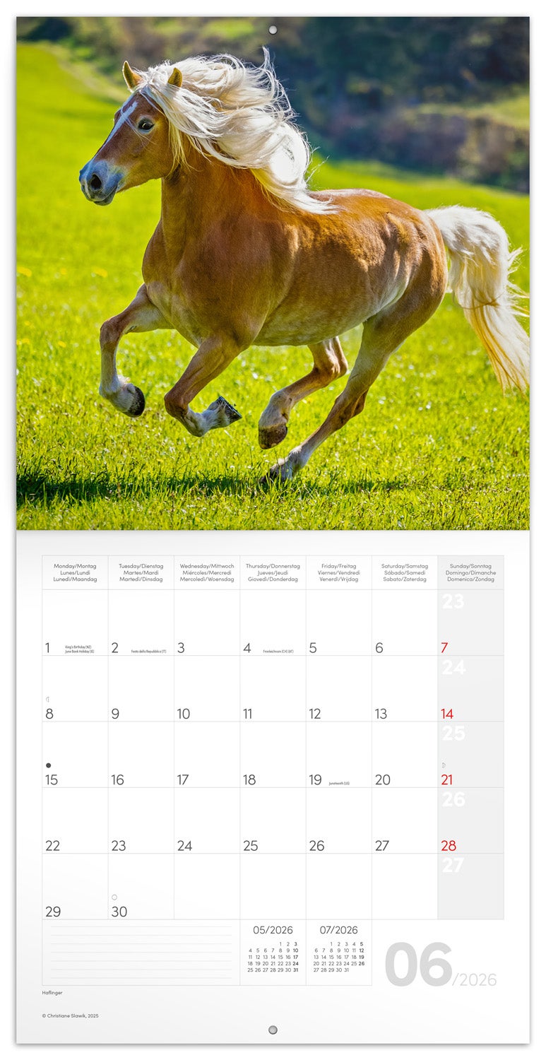 Kalender 2026 30x30 Horses