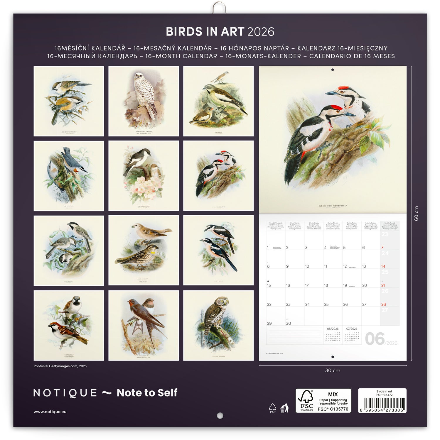 Kalender 2026 30x30 Birds in Art 2026