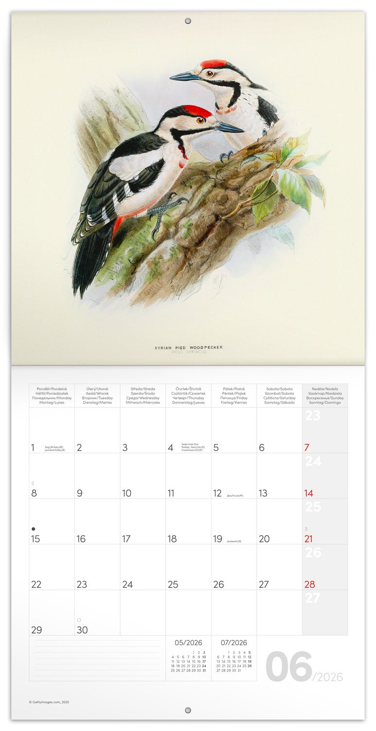 Kalender 2026 30x30 Birds in Art 2026