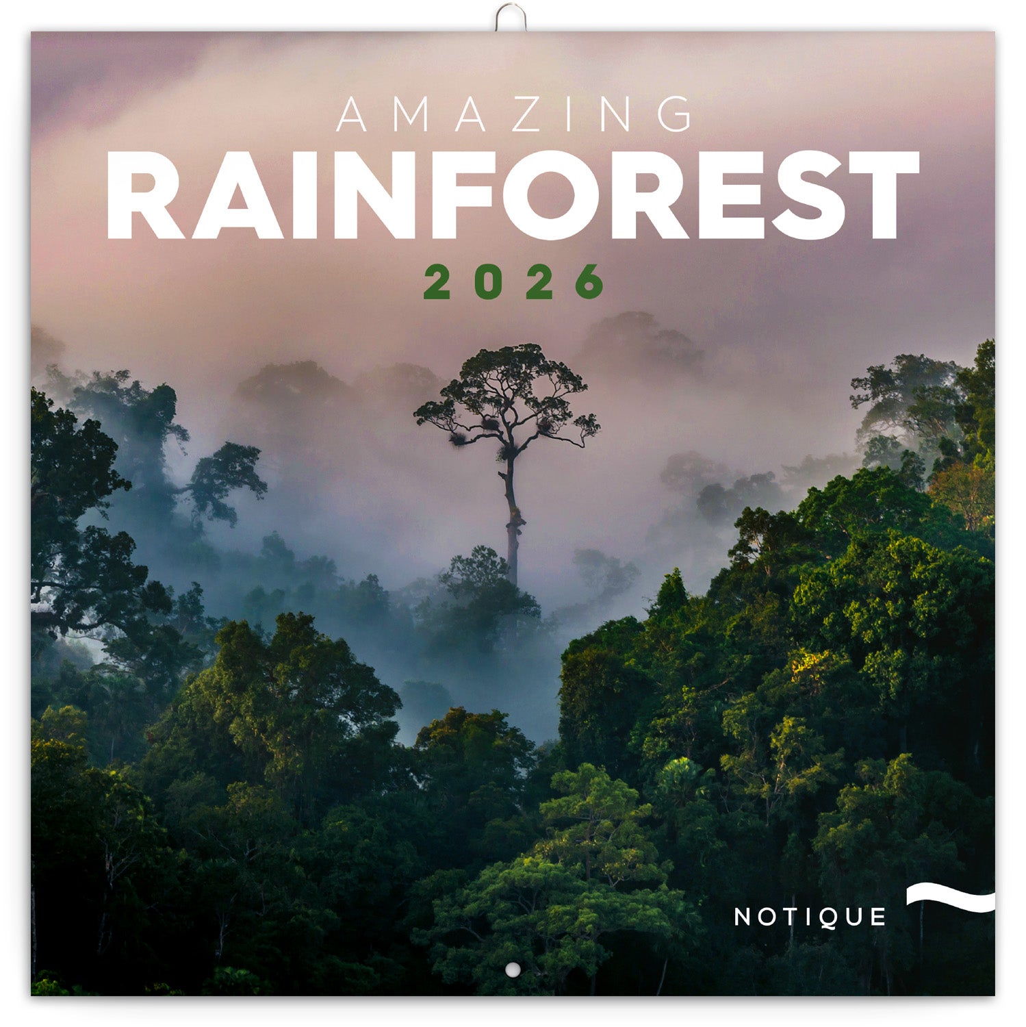 Kalender 2026 30x30 Amazing Rainforest