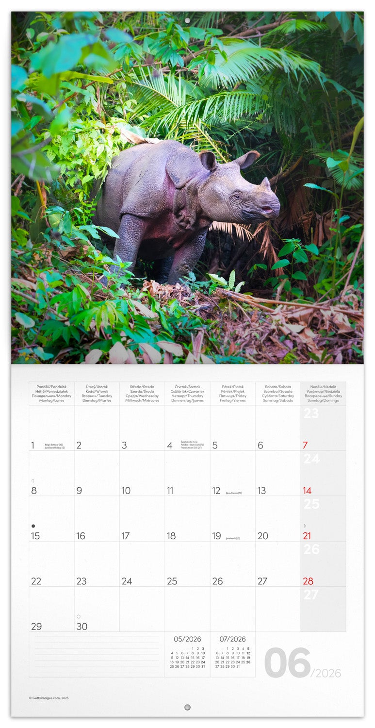 Kalender 2026 30x30 Endangered Species
