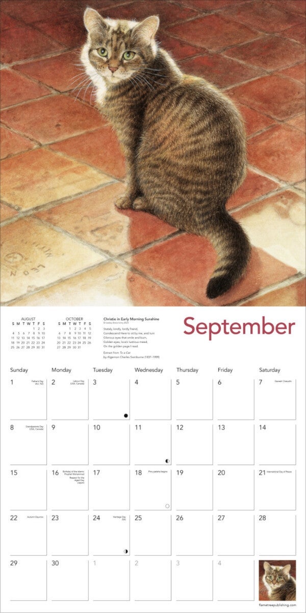 Kalender 2024 Ivory Cats 30x30cm