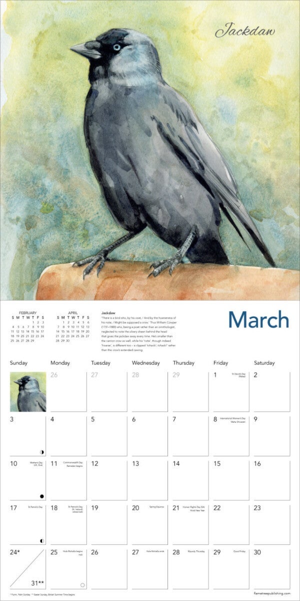 Kalender 2024 Garden Birds 30x30cm